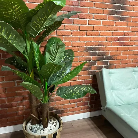 Appartement Casawanderful