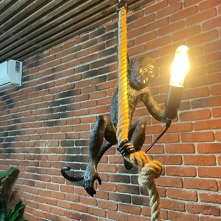 Casawanderful Bucareste