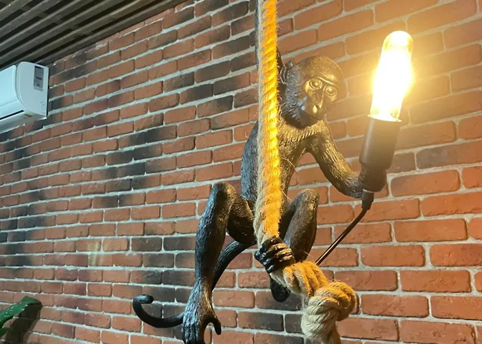 Casawanderful Bucareste