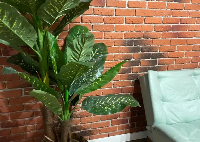 Apartment Casawanderful